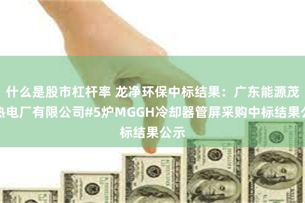 什么是股市杠杆率 龙净环保中标结果：广东能源茂名热电厂有限公司#5炉MGGH冷却器管屏采购中标结果公示