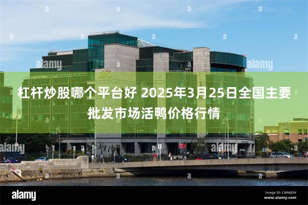 杠杆炒股哪个平台好 2025年3月25日全国主要批发市场活鸭价格行情