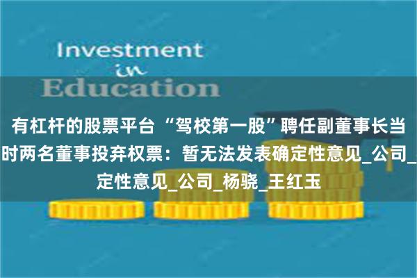 有杠杆的股票平台 “驾校第一股”聘任副董事长当总经理 ST东时两名董事投弃权票：暂无法发表确定性意见_公司_杨骁_王红玉
