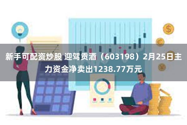 新手可配资炒股 迎驾贡酒（603198）2月25日主力资金净卖出1238.77万元