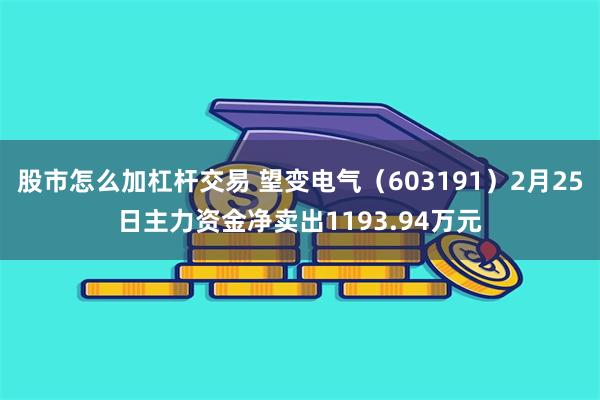 股市怎么加杠杆交易 望变电气（603191）2月25日主力资金净卖出1193.94万元