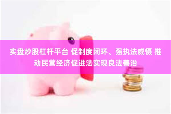 实盘炒股杠杆平台 促制度闭环、强执法威慑 推动民营经济促进法实现良法善治