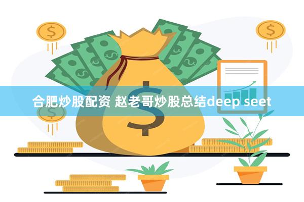 合肥炒股配资 赵老哥炒股总结deep seet