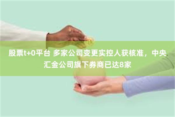股票t+0平台 多家公司变更实控人获核准，中央汇金公司旗下券商已达8家