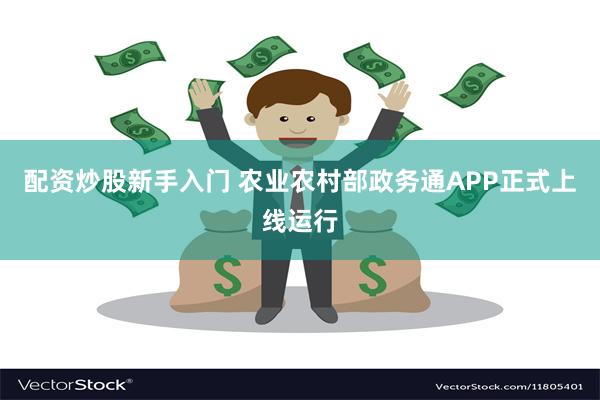 配资炒股新手入门 农业农村部政务通APP正式上线运行