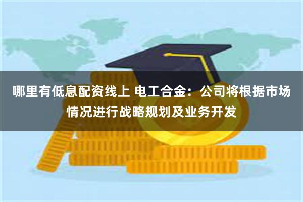 哪里有低息配资线上 电工合金：公司将根据市场情况进行战略规划及业务开发