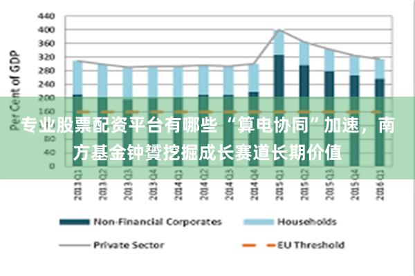 专业股票配资平台有哪些 “算电协同”加速，南方基金钟贇挖掘成长赛道长期价值