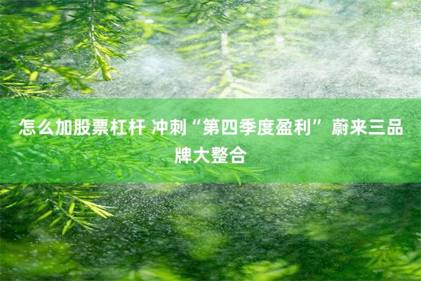 怎么加股票杠杆 冲刺“第四季度盈利” 蔚来三品牌大整合