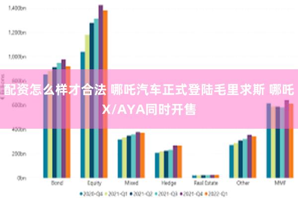 配资怎么样才合法 哪吒汽车正式登陆毛里求斯 哪吒X/AYA同时开售