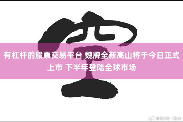 有杠杆的股票交易平台 魏牌全新高山将于今日正式上市 下半年登陆全球市场