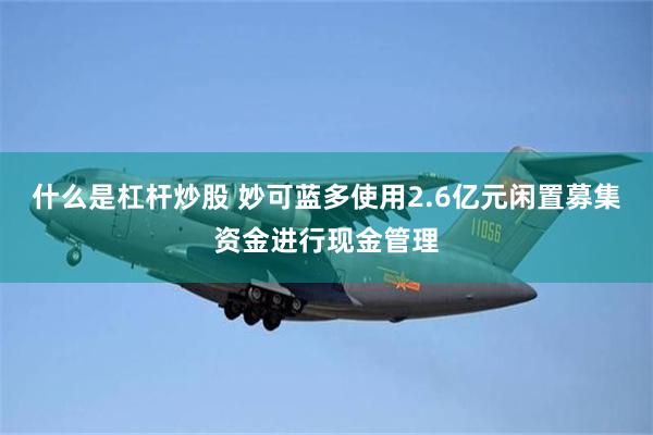 什么是杠杆炒股 妙可蓝多使用2.6亿元闲置募集资金进行现金管理