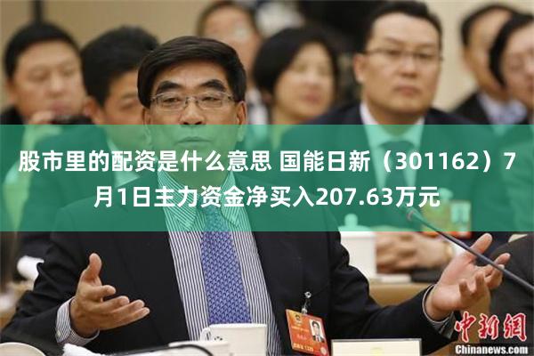 股市里的配资是什么意思 国能日新(301162)7月1日主力资金净买入207.63万元