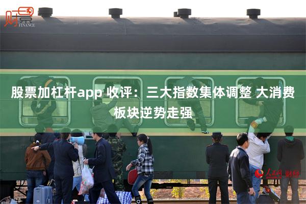 股票加杠杆app 收评：三大指数集体调整 大消费板块逆势走强