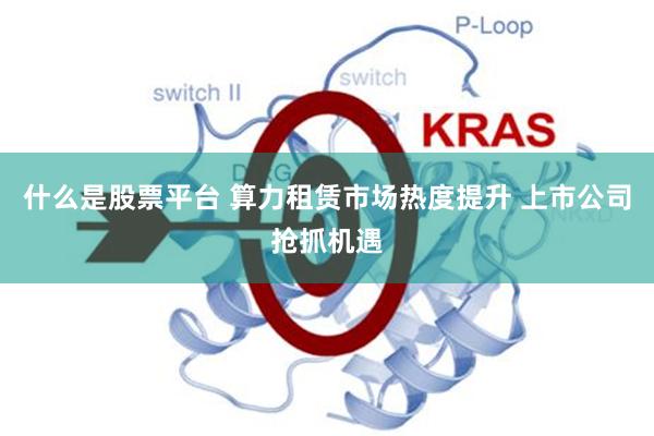 什么是股票平台 算力租赁市场热度提升 上市公司抢抓机遇