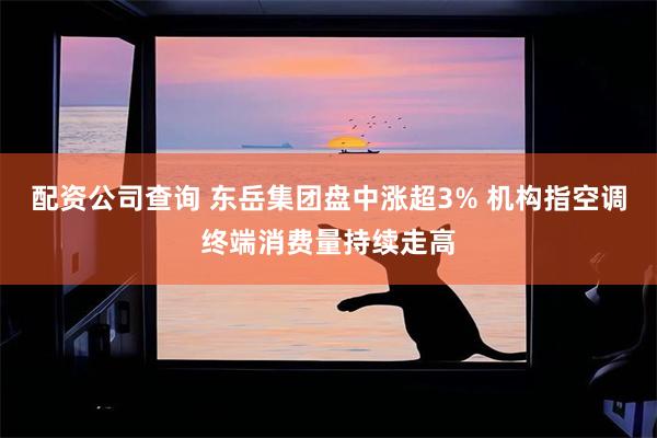 配资公司查询 东岳集团盘中涨超3% 机构指空调终端消费量持续走高