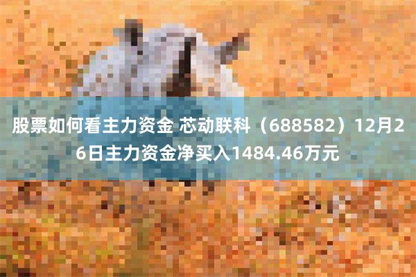 股票如何看主力资金 芯动联科（688582）12月26日主力资金净买入1484.46万元
