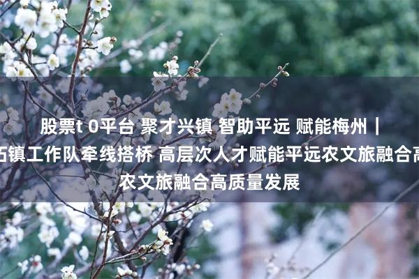 股票t 0平台 聚才兴镇 智助平远 赋能梅州｜广州驻大柘镇工作队牵线搭桥 高层次人才赋能平远农文旅融合高质量发展