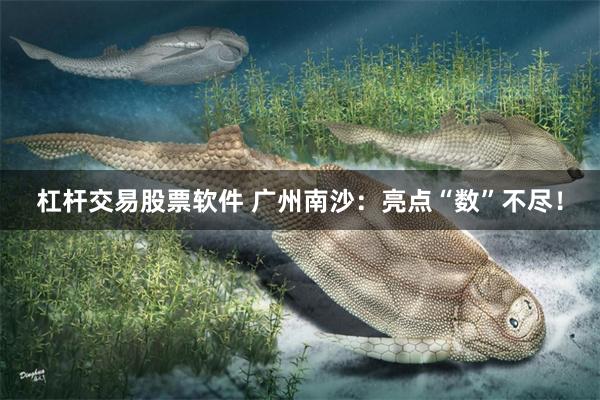 杠杆交易股票软件 广州南沙：亮点“数”不尽！