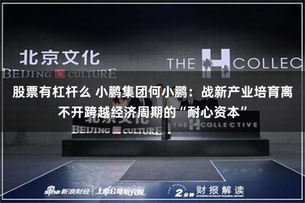 股票有杠杆么 小鹏集团何小鹏：战新产业培育离不开跨越经济周期的“耐心资本”