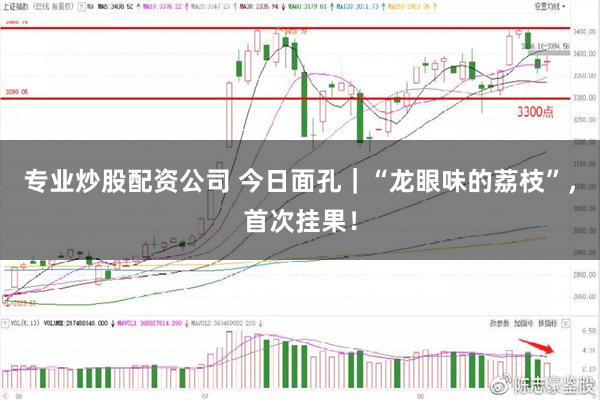 专业炒股配资公司 今日面孔｜“龙眼味的荔枝”，首次挂果！