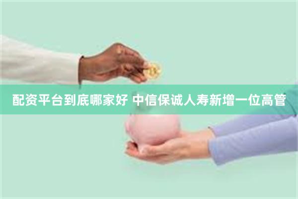 配资平台到底哪家好 中信保诚人寿新增一位高管