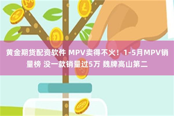 黄金期货配资软件 MPV卖得不火！1-5月MPV销量榜 没一款销量过5万 魏牌高山第二