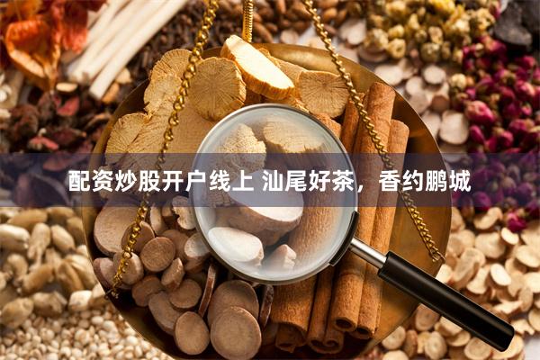 配资炒股开户线上 汕尾好茶,香约鹏城