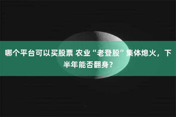 哪个平台可以买股票 农业“老登股”集体熄火,下半年能否翻身?
