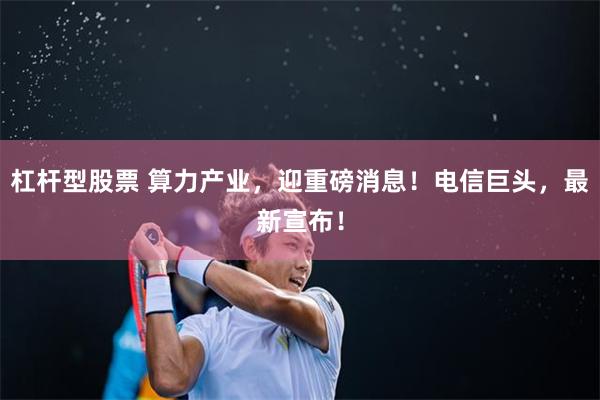 杠杆型股票 算力产业,迎重磅消息!电信巨头,最新宣布!