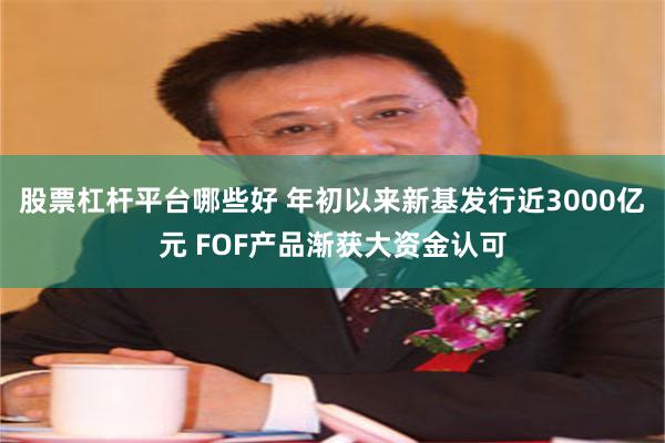 股票杠杆平台哪些好 年初以来新基发行近3000亿元 FOF产品渐获大资金认可