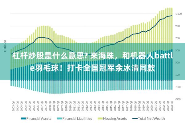 杠杆炒股是什么意思? 来海珠，和机器人battle羽毛球！打卡全国冠军余冰清同款
