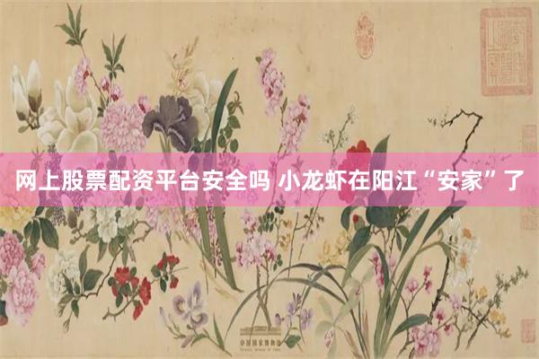 网上股票配资平台安全吗 小龙虾在阳江“安家”了