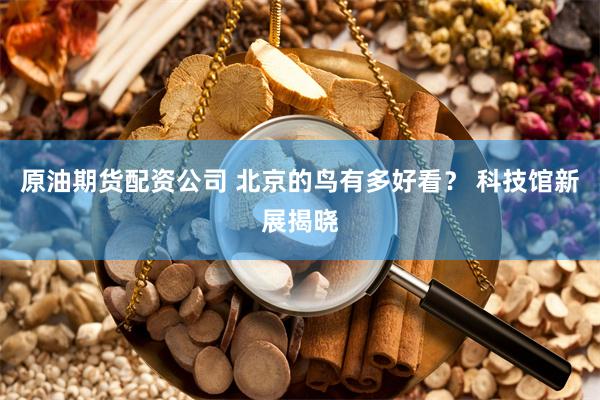 原油期货配资公司 北京的鸟有多好看？ 科技馆新展揭晓