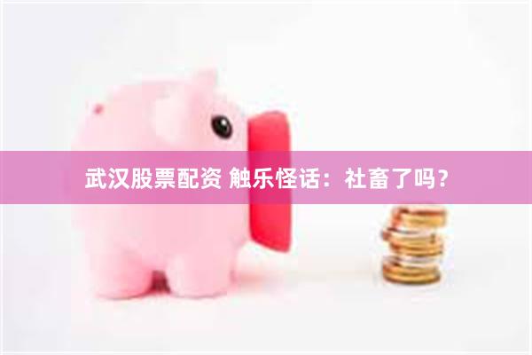 武汉股票配资 触乐怪话：社畜了吗？