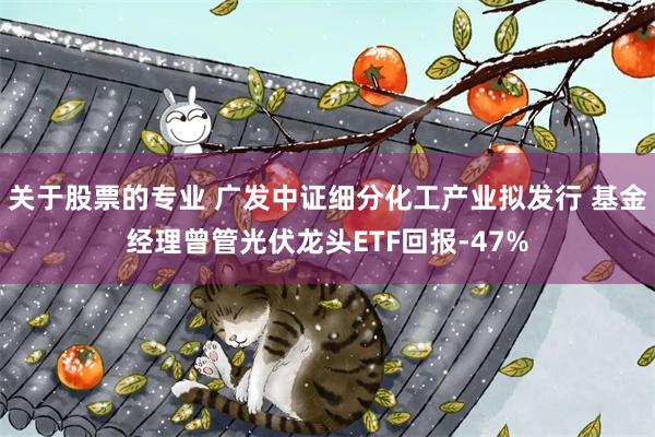 关于股票的专业 广发中证细分化工产业拟发行 基金经理曾管光伏龙头ETF回报-47%