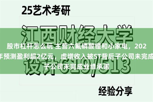 股市杠杆怎么玩 主营六氟磷酸锂和小家电，2026年上半年预测盈利超2亿元，虚增收入被ST背后子公司未完成业绩承诺