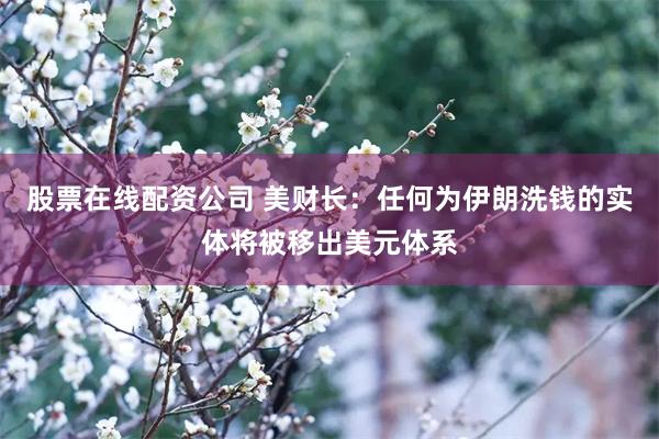 股票在线配资公司 美财长：任何为伊朗洗钱的实体将被移出美元体系
