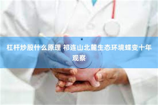 杠杆炒股什么原理 祁连山北麓生态环境蝶变十年观察