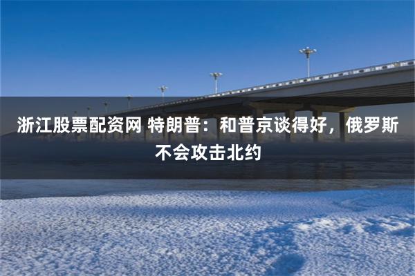 浙江股票配资网 特朗普：和普京谈得好，俄罗斯不会攻击北约