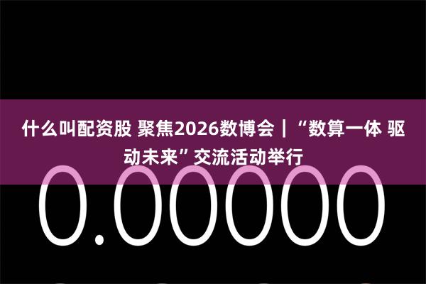 什么叫配资股 聚焦2026数博会｜“数算一体 驱动未来”交流活动举行