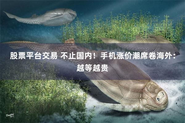 股票平台交易 不止国内！手机涨价潮席卷海外：越等越贵