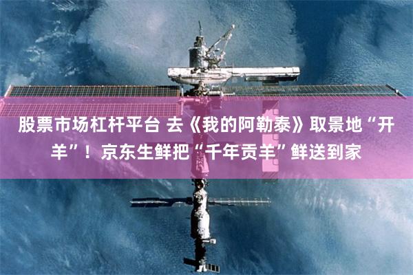 股票市场杠杆平台 去《我的阿勒泰》取景地“开羊”！京东生鲜把“千年贡羊”鲜送到家