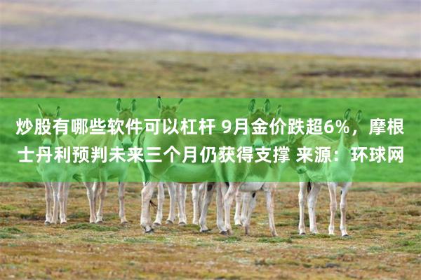 炒股有哪些软件可以杠杆 9月金价跌超6%，摩根士丹利预判未来三个月仍获得支撑 来源：环球网