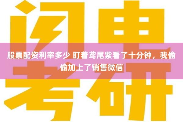 股票配资利率多少 盯着鸢尾紫看了十分钟，我偷偷加上了销售微信