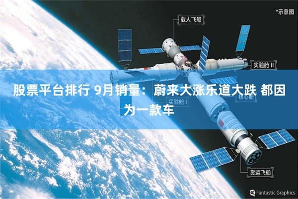 股票平台排行 9月销量:蔚来大涨乐道大跌 都因为一款车
