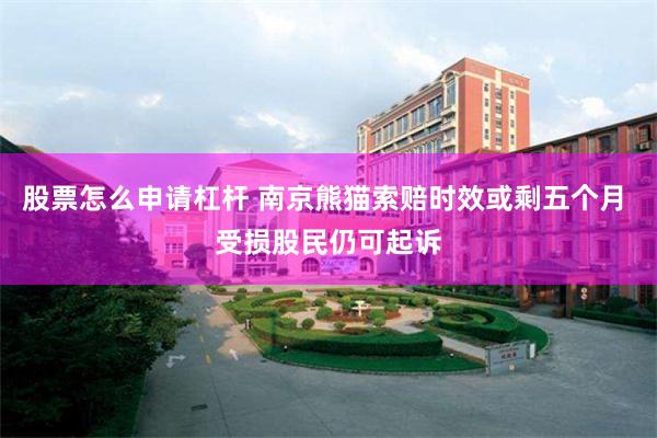 股票怎么申请杠杆 南京熊猫索赔时效或剩五个月 受损股民仍可起诉
